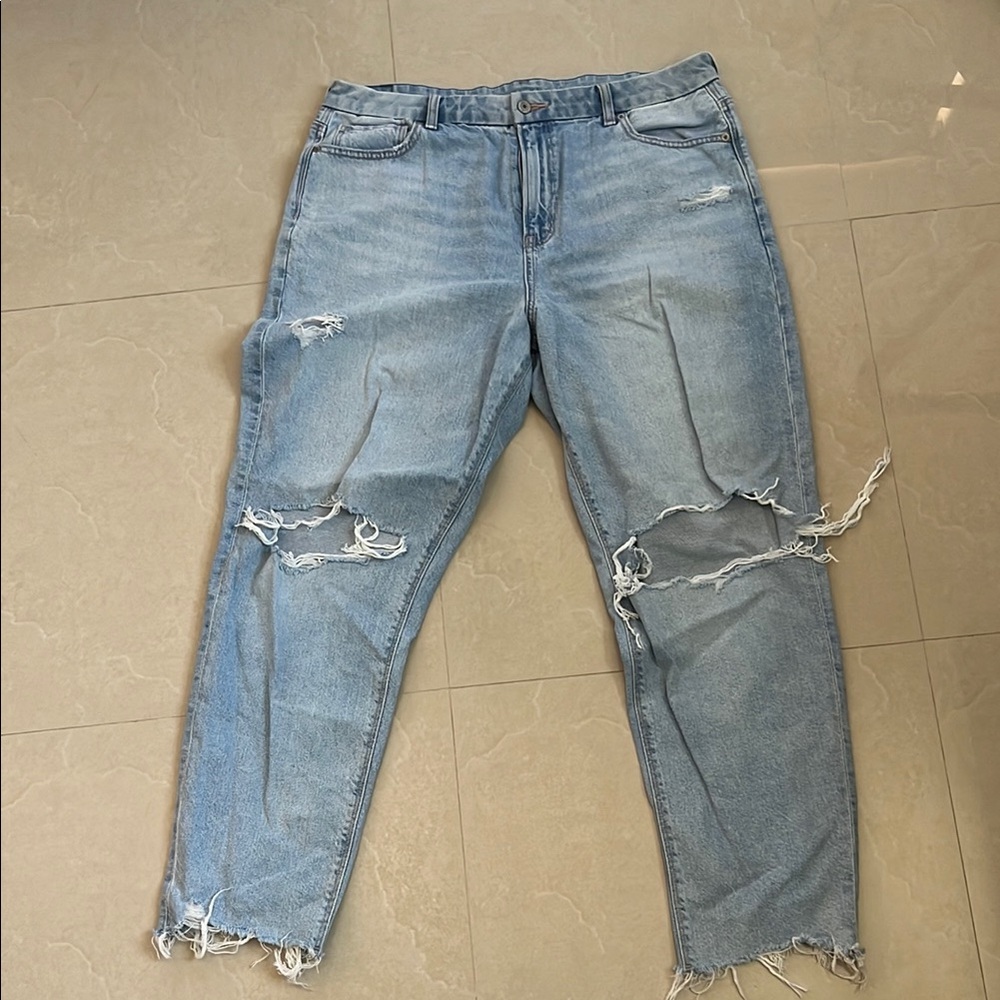 AE Distressed Light Blue Jeans